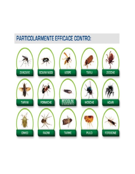 EvoKiller Insetticida Antiparassitario Insetti Parassiti 2 Litri