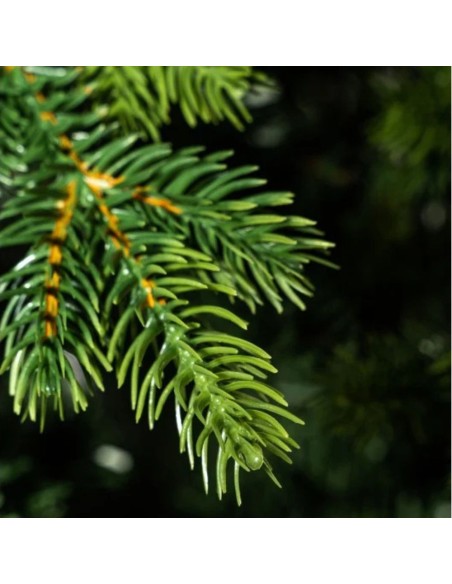 Albero Di Natale Darsy Con Tronco Elegante E Naturale 210 cm