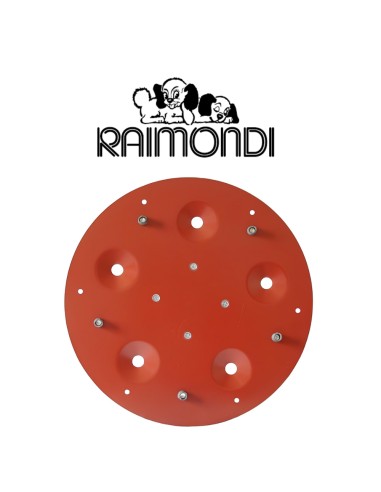 Disco Porta Utensili Abrasivi 5 Fori Diametro 490 mm Maxititina 