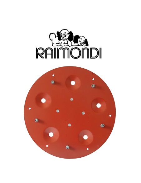 Disco Porta Utensili Abrasivi 5 Fori Diametro 490 mm Maxititina 