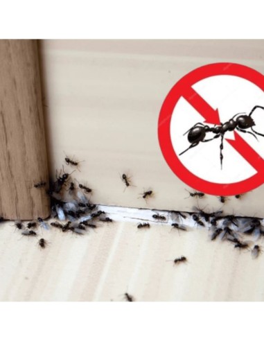 Microgranuli Formiche Insetti Barriera Protettiva Interni Esterni 250 gr Ekostop