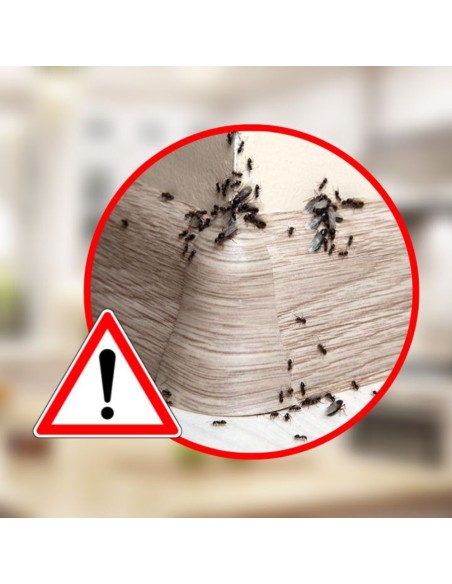 Esca Formiche Insetticida Gel Professionale Eliminazione Colonia Rapida 6 Giorni Ekostop 