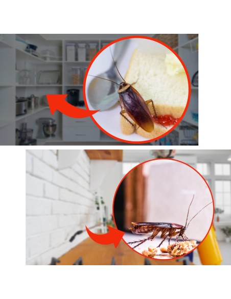 Trappola Scarafaggi Blister Blatte Esca Insetticida Casa Fessure Nido Ekostop