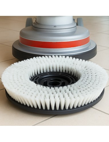 Spazzola Nylon Media Setole 065 Pulizia Pavimenti Maxititina 