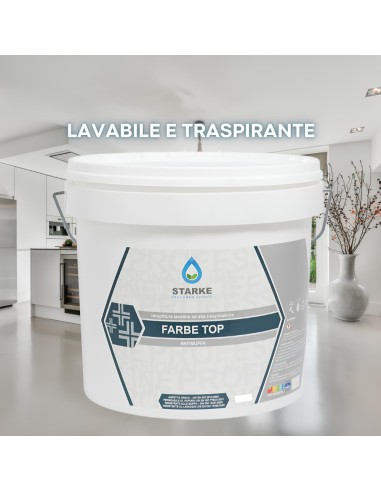 Farbe Top Pittura Murale Superlavabile Igienizzante Antimuffa Ottima Copertura