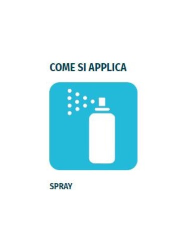Smacchiatore Rapido Spray Macchie Grasso Unto Ostinato Olio  Confezione 200 ml 