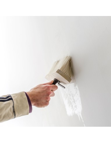 Isoltherm Fissativo Murale Trasparente Termoisolante Aggrappante Anticondensa