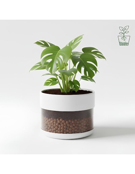 Argilla Espansa Leggera Per Piante 50 L 8-20 mm Pezzi 10
