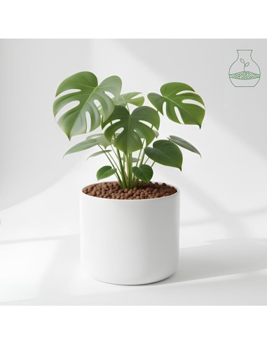 Argilla Espansa Leggera Per Piante 50 L 8-20 mm Pezzi 10