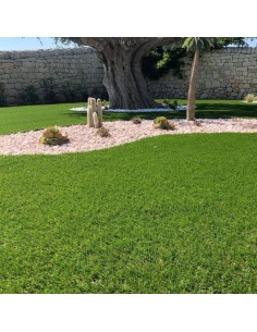 Prato Sintetico Tappeto Erboso Altezza Fili 25 mm Sempre Verde Vendita A Metro 2