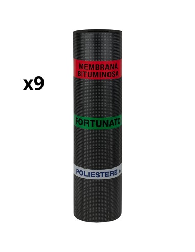 Guaina Bituminosa Poliestere 4 mm Impermeabilizzante CASASCIUTTA 9 Rotoli 1x10 m