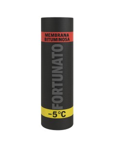 Membrana Bituminosa Impermeabilizzazione CASASCIUTTA -5°C Cannello Rotolo 1x10m