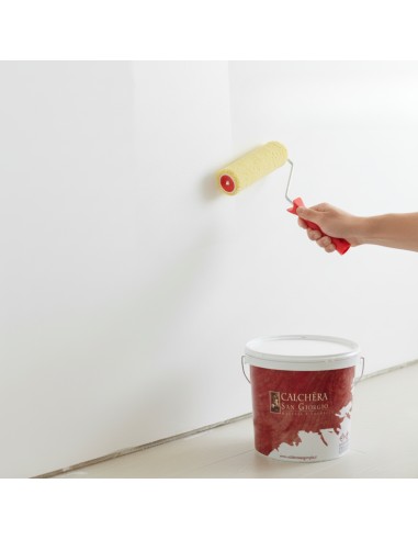 Kit Pittura Naturale Antibatterica E Rullo In Lana Giallo 25 cm