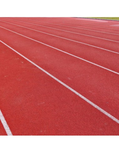 Sportcolor Pittura Acrilica Per Superfici Sportive Alta Resistenza Vari Colori