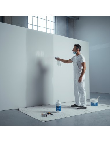 Muffa Control Risanante Trattamento Per Superfici Interne Ed Esterne 1 Lt
