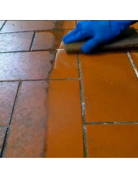 Solvente Decerante per Rimozione Trattamenti da Pavimentazione Decersolvente Extra da 1 litri 