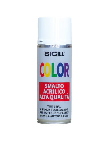 Color Smalto Acrilico Spray Di Alta Qualità Per Tutte Le Superfici 400 ml
