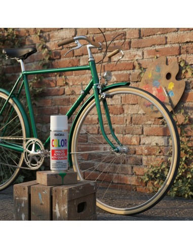 Color Smalto Acrilico Spray Di Alta Qualità Per Tutte Le Superfici 400 ml