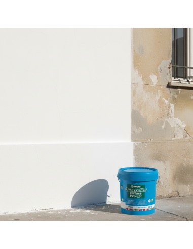 MAPEI Quarzolite Pittura Pro Gf Mapei Resistente Per Esterni E Interni