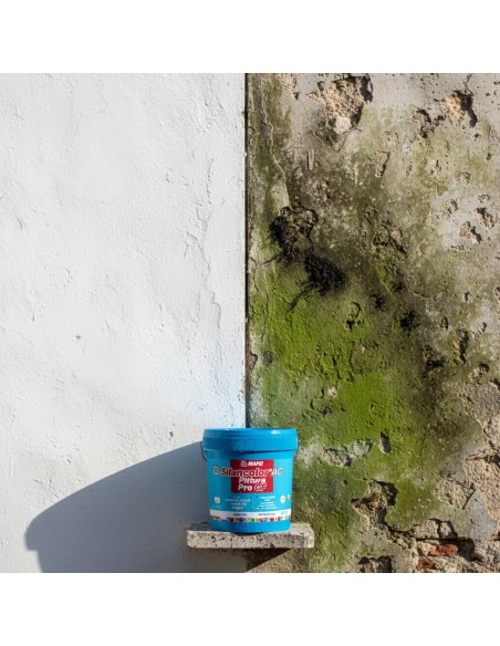 MAPEI Silancolor Ac Pittura Pro Gf  Per Esterni E Interni