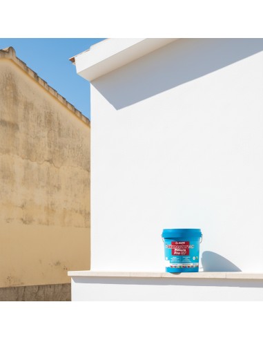 MAPEI Silancolor Ac Pittura Pro Gf  Per Esterni E Interni