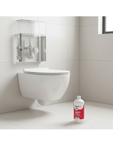 Kit 3 Pezzi Decal C Trattamento Disincrostante Anticalcare Per Wc 1 Litro