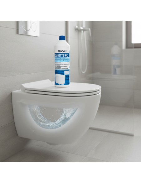 Detergente Disincrostante Professionale Per Cassette Wc 1 Litro