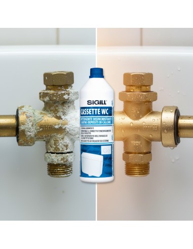 Detergente Disincrostante Professionale Per Cassette Wc 1 Litro
