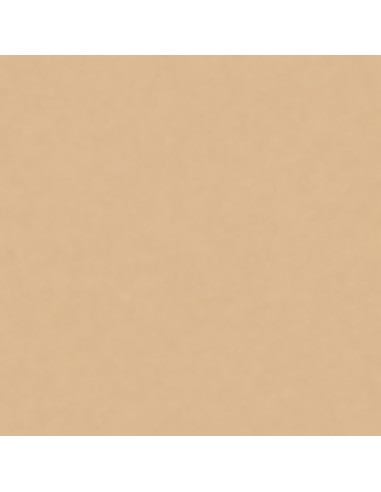Smalto Acrilico Multiuso Brillante RAL 1001 Beige 400 Ml