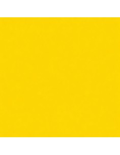 Smalto Acrilico Multiuso RAL 1021 Giallo Cadmio Spray 400 ml 2