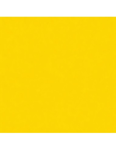 Smalto Acrilico Multiuso RAL 1021 Giallo Cadmio Spray 400 ml