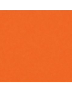 Smalto Acrilico Multiuso RAL 2003 Arancio Pastello Spray 400 ml 2
