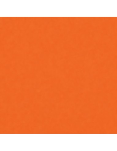 Smalto Acrilico Multiuso RAL 2003 Arancio Pastello Spray 400 ml