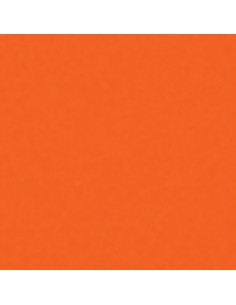 Smalto Acrilico Multiuso RAL 2009 Arancio Traffico Spray 400 ml 2