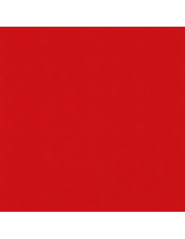 Smalto Acrilico Multiuso RAL 3001 Rosso Segnale Spray 400 ml