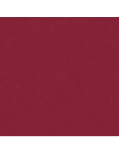 Smalto Acrilico Multiuso RAL 3004 Rosso Porpora Spray 400 ml 2