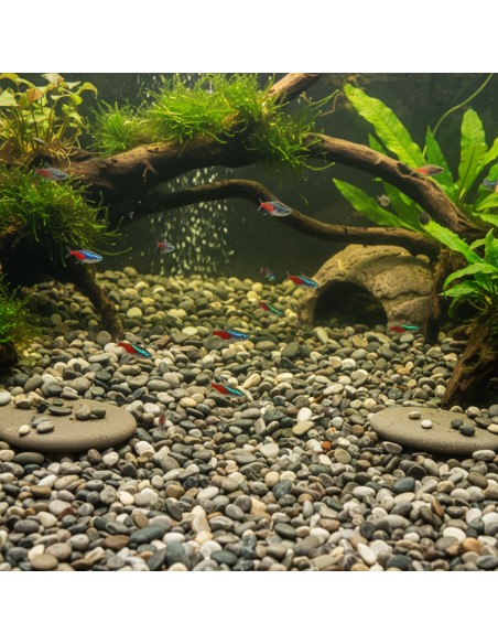 Ciottoli Di Fiume Naturali Per Acquari D’Acqua Dolce 25 kg