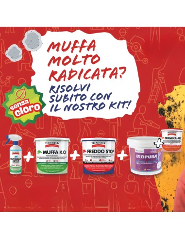 KIT Per Muffa Molto Radicata Tecnostuk Con Pittura Cromika Bianca 2,5 L