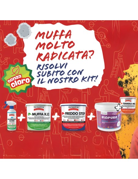 KIT Per Muffa Molto Radicata Tecnostuk Con Pittura Cromika Bianca 2,5 L