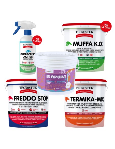 KIT Per Muffa Molto Radicata Tecnostuk Con Pittura Cromika Bianca 2,5 L
