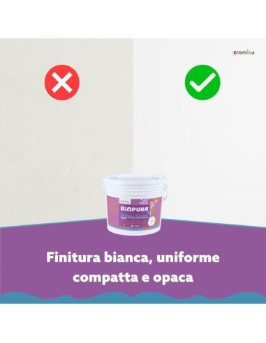 KIT Per Muffa Molto Radicata Tecnostuk Con Pittura Cromika Bianca 2,5 L