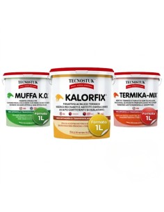 KIT Professionale Antimuffa Tecnostuk Per Muffa Poco Radicata 