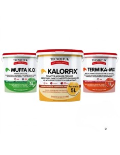 KIT Professionale Antimuffa Tecnostuk Per Muffa Poco Radicata 