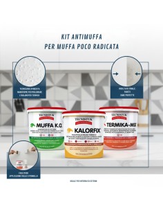 KIT Professionale Antimuffa Tecnostuk Per Muffa Poco Radicata  2