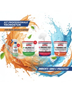 KIT Professionale Antimuffa Tecnostuk Per Muffa Molto Radicata Ed Estesa 2