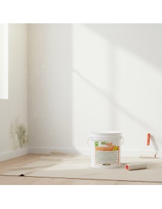 Kerakoll Biocalce Tinteggio Per Decorazione Intonaci Civili 4 Litri 2