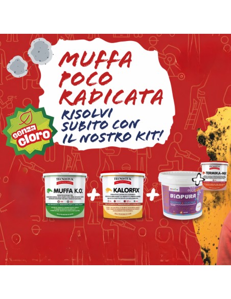 KIT Per Muffa Poco Radicata Tecnostuk Con Pittura Cromika Bianca 2,5 L