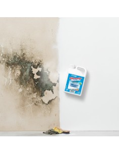 Mapei SILANCOLOR CLEANER PLUS Trattamento Antimuffa Per Superfici 1 Kg 2