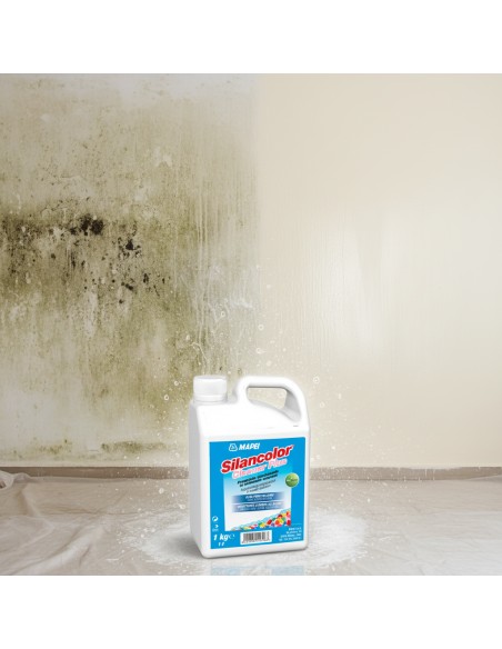 Mapei SILANCOLOR CLEANER PLUS Trattamento Antimuffa Per Superfici 1 Kg