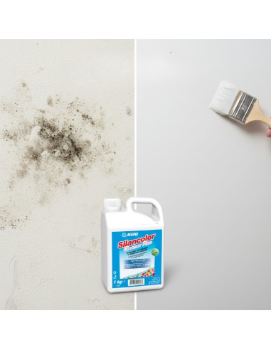 Mapei SILANCOLOR CLEANER PLUS Trattamento Antimuffa Per Superfici 1 Kg